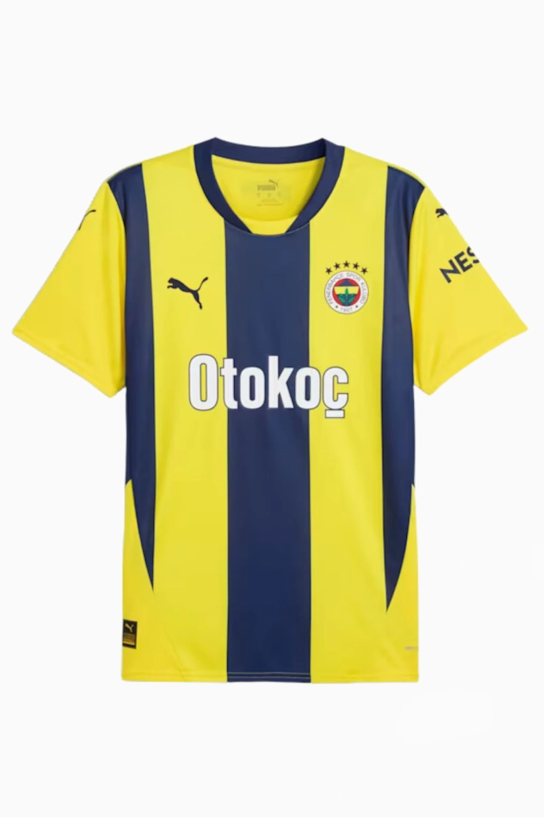 Fenerbahçe: Sarı Miras, Çubuklu Formalar ve Kadıköy Ruhu